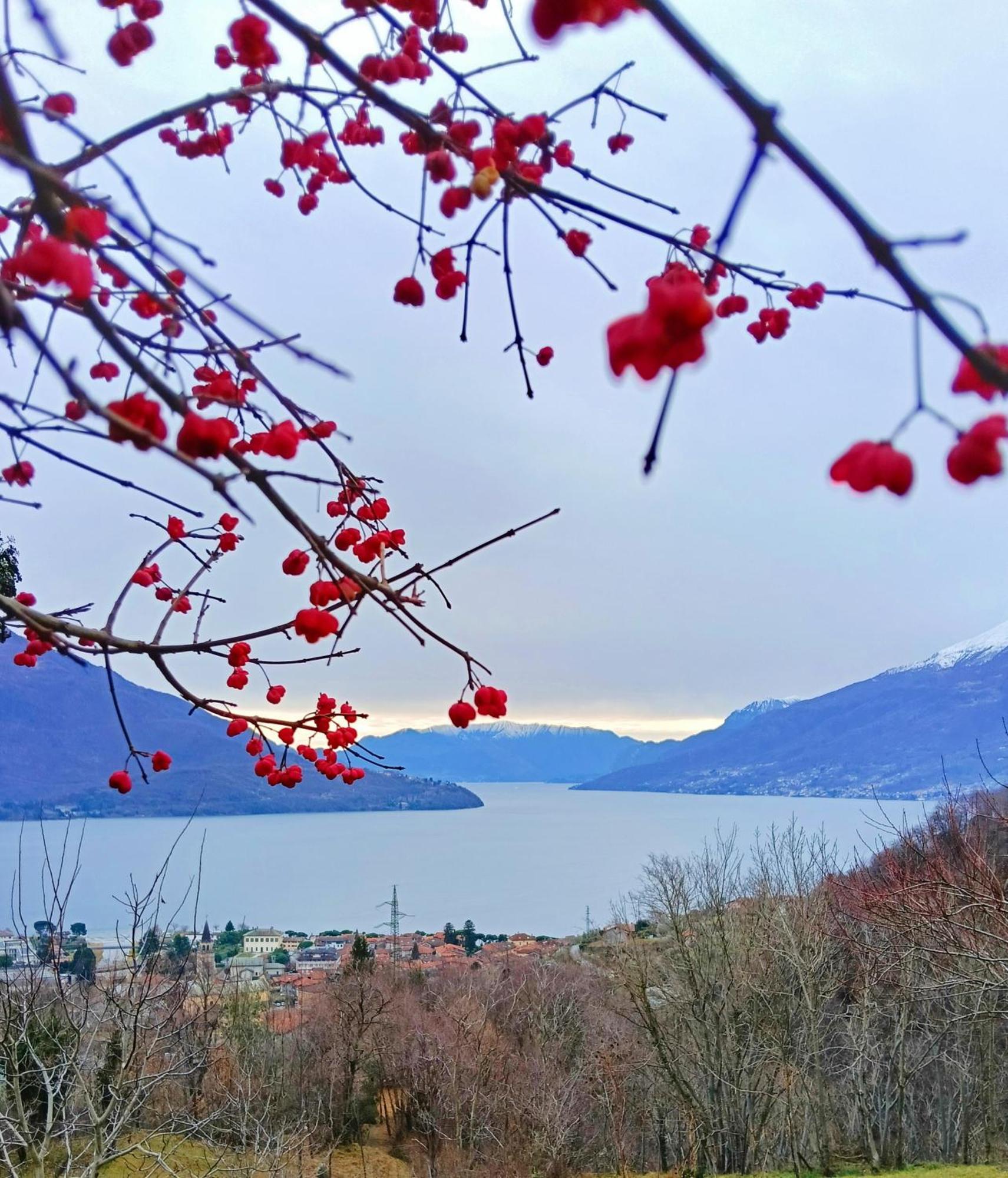 Lake Como Borgo Vignola Cremia Екстериор снимка